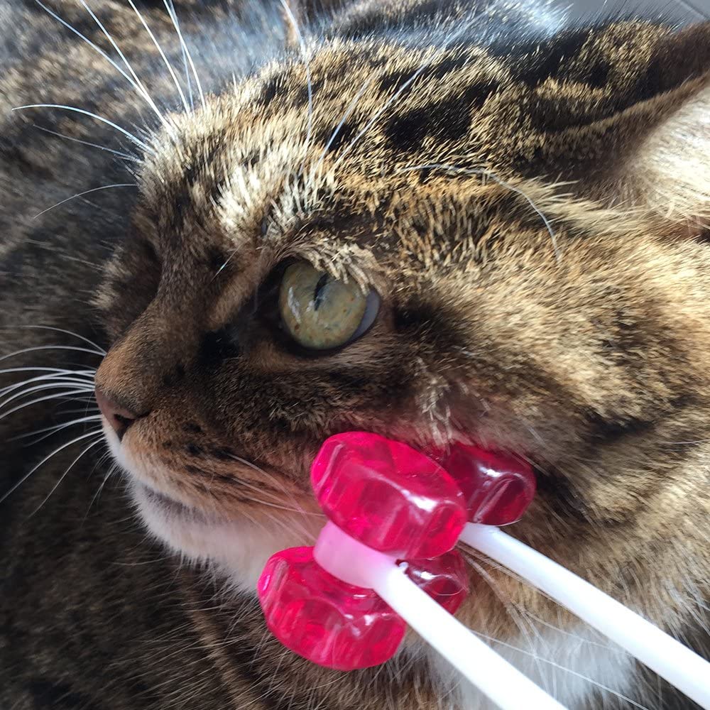 Ergonomic Cat Massager with Flexible Handle