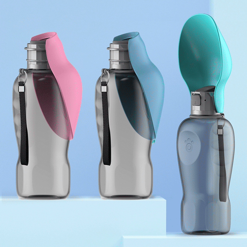 Travel Water Bottle With Foldable Silicone Bowl
