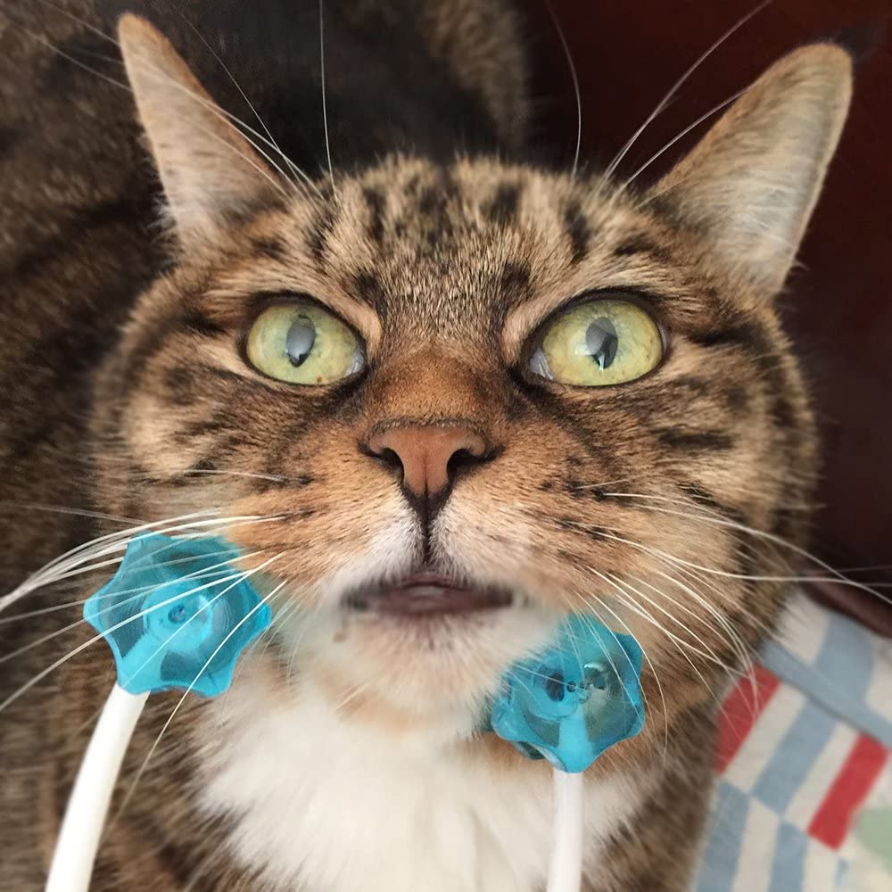 Ergonomic Cat Massager with Flexible Handle