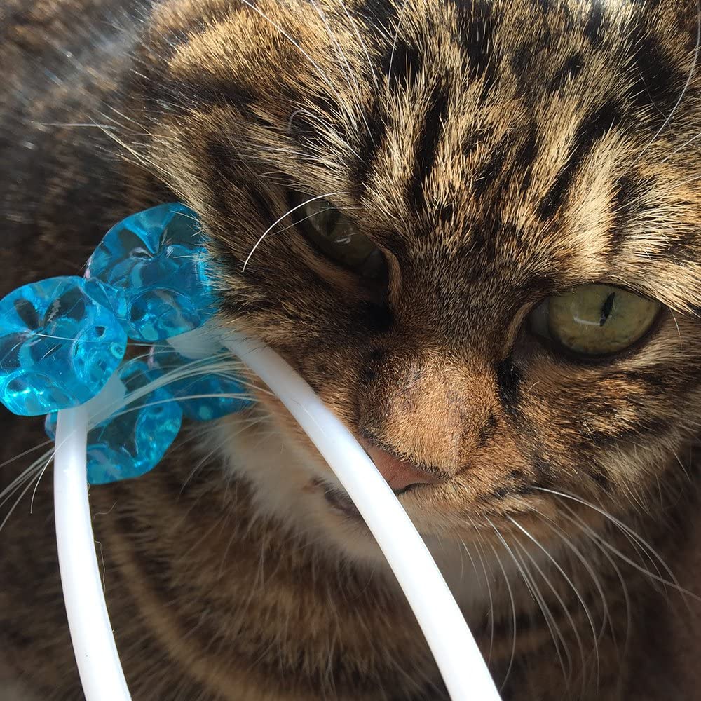 Ergonomic Cat Massager with Flexible Handle