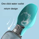 Travel Water Bottle With Foldable Silicone Bowl