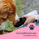 Portable Pet Water Bottle With Integrated Bowl