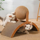 Contemporary Curved Wood Cat Scratching Post